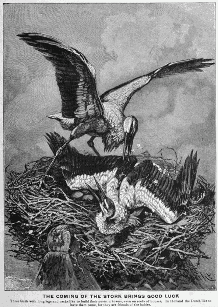 THE COMING OF THE STORK BRINGS GOOD LUCK