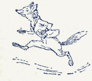 Fox in a hurry