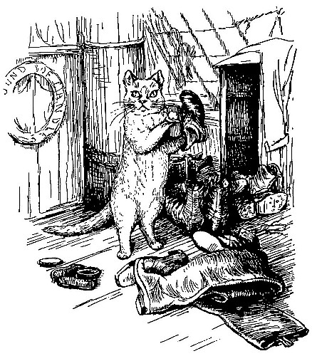 When
Robinson stepped on to the deck, he found himself face to face with a
large yellow cat who was blacking boots.