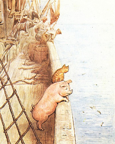 Robinson
and the cat were both on the side of the ship, watching a shoal of
silvery fishes