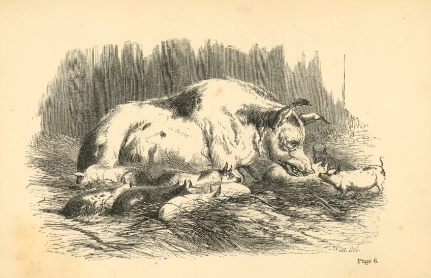 Wilful and his mother