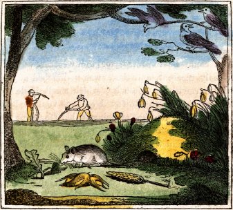 mouse gathering nuts