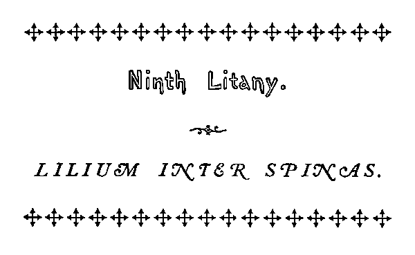 lilium inter spinas