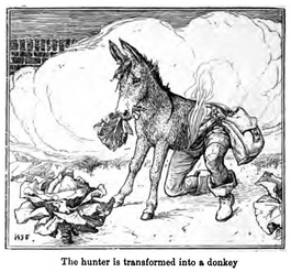 The Hunter Is Transformed Into a Donkey