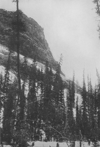 Nothing but rock and tree; Nothing but wood and stone.