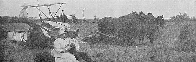 Confiding to his better half what they will do with the
proceeds of their crop of wheat, which yielded 41½ bushels per acre.