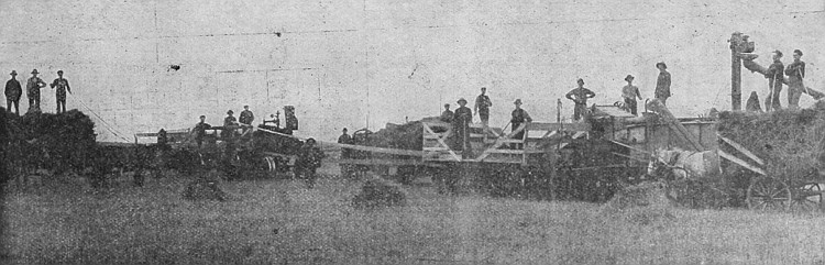 An ordinary threshing scene in Manitoba, where fields of
wheat, oats and barley pay the farmer well.