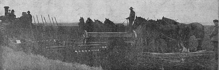 In many parts of Western Canada, large farms are operated
by steam or gasoline power. This shows its use, and also discing,
seeding and harrowing.