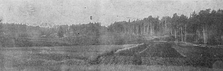 In Central British Columbia there is an area of
agricultural land that is unexcelled anywhere. Wonderful yields of all
small grains are reported.