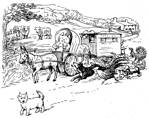 Paddy Pig was installed in the cart.