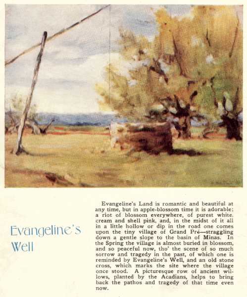 evangeline's well