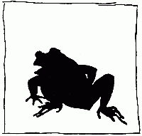 The frog