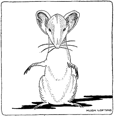 “'Why, Doctor, this is a regular Animal Library,' said
the white mouse”