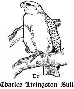 Hawk; “To Charles Livingston Bull”