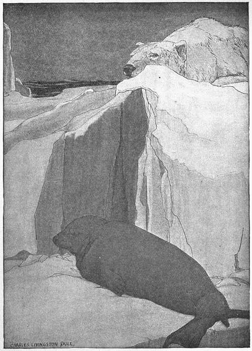 “SOME INEXPERIENCED SEAL HAD BEEN FOOLISH ENOUGH TO LIE BASKING CLOSE BESIDE AN ICE-CAKE”