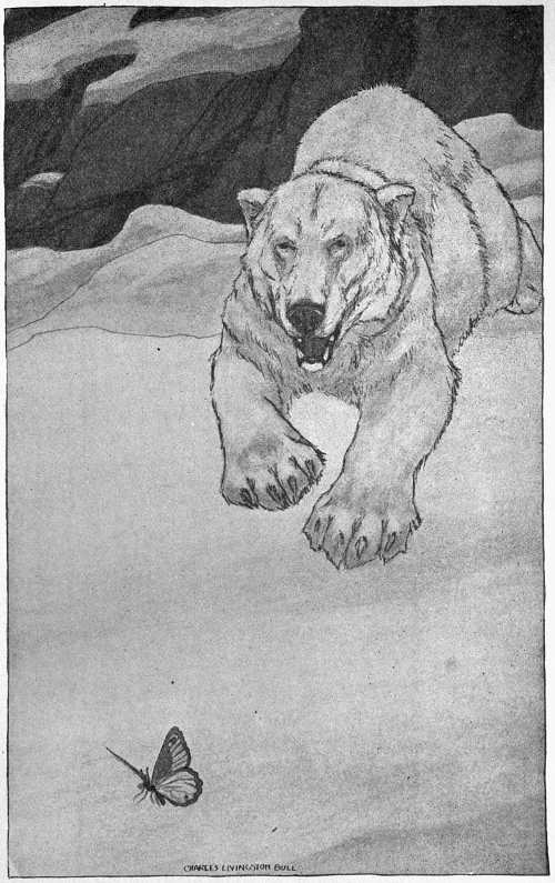 “WOULD RUN GLEEFULLY TO SNAP THEM UP AND EAT THEM.”