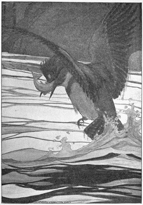 “HELD FIRMLY BETWEEN THE EDGES OF HIS GREAT BEAK.”