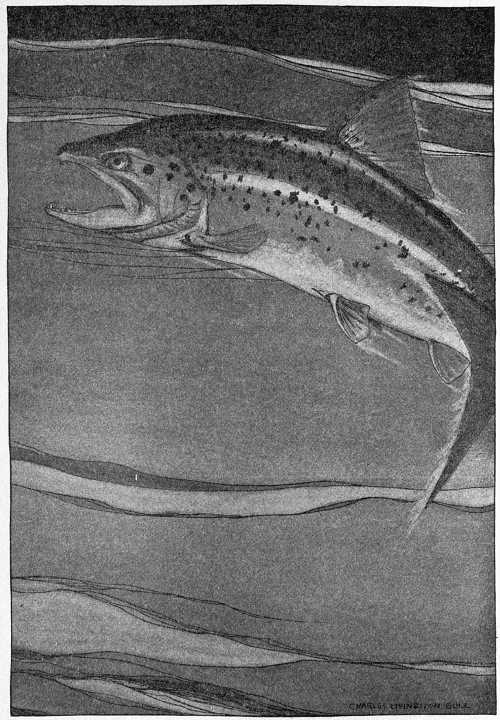 “LEAPING HIGH OUT OF THE POOLS.”