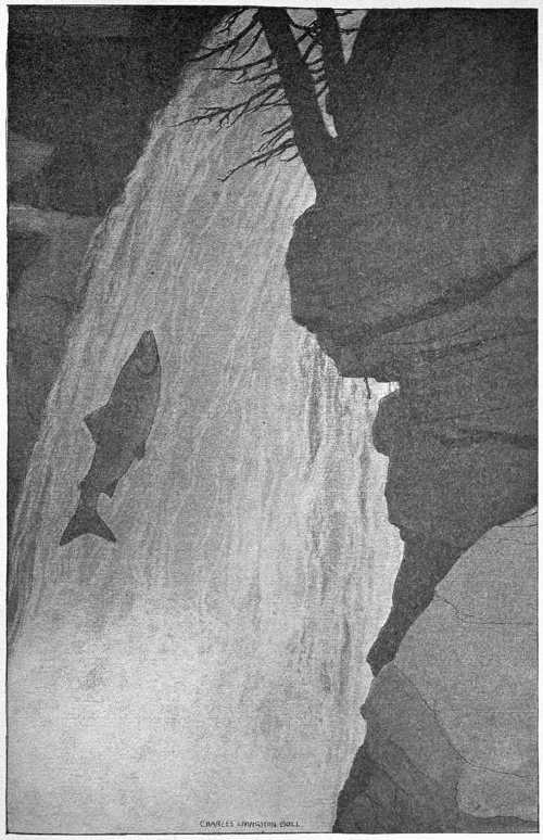 “AGAIN HE SHOT INTO THE SPRAY-THICK AIR ON THE FACE OF THE FALL.”