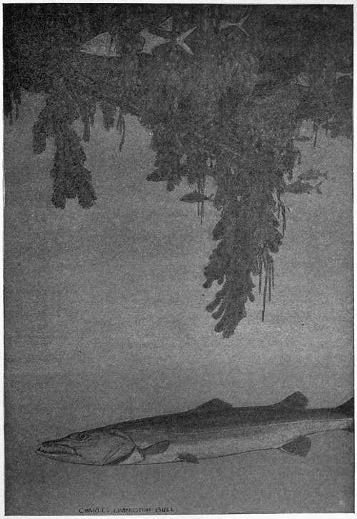 “LAY MOTIONLESS BUT FOR THE EASY WAVING OF ITS FINS.”