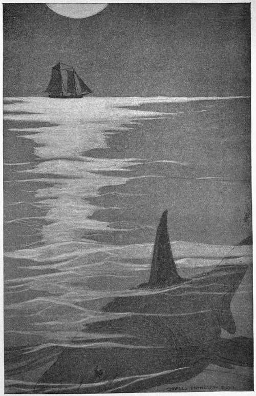 “ONLY THAT SHARP BLACK FIN, THAT PROWLED AND PROWLED, KEPT ALWAYS IN SIGHT.”