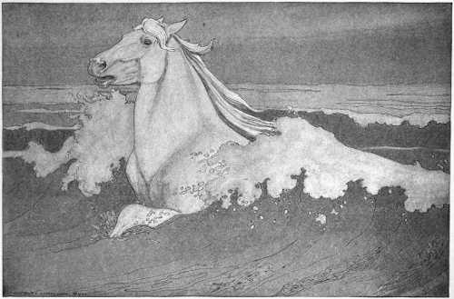 “HE STRUCK OUT DESPERATELY, AND SOON CLEARED THE TURMOIL OF THE BREAKERS.”