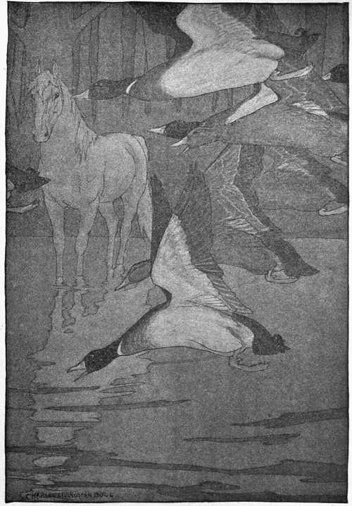 “THE SOUTHWARD JOURNEYING DUCKS, WHICH WOULD DROP WITH LOUD QUACKING AND SPLASHING INTO THE SHALLOWS”