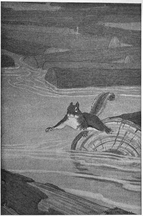 “THE PLUCKY LITTLE ANIMAL JUMPED AS FAR AS HE COULD.”