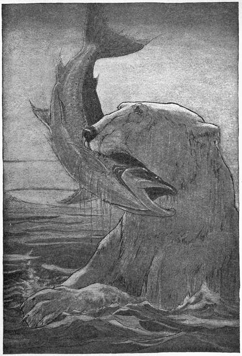 “THEN, WITH THE LARGEST PRIZE IN HIS JAWS, HE SWAM SLOWLY TO THE ROCK.”