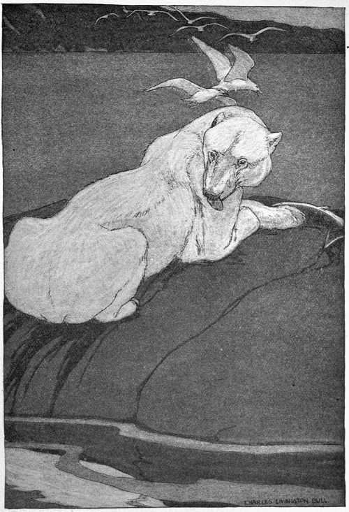 “LAY DOWN IN SULLEN TRIUMPH TO LICK HIS WOUNDS.”