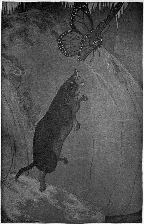 “THE BAFFLED SHREW JUMPED STRAIGHT INTO THE AIR.”