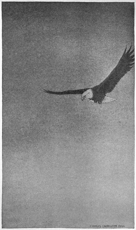 “HIS COURSE TOOK HIM FAR OUT OVER THE SOUNDLESS SPACES.”