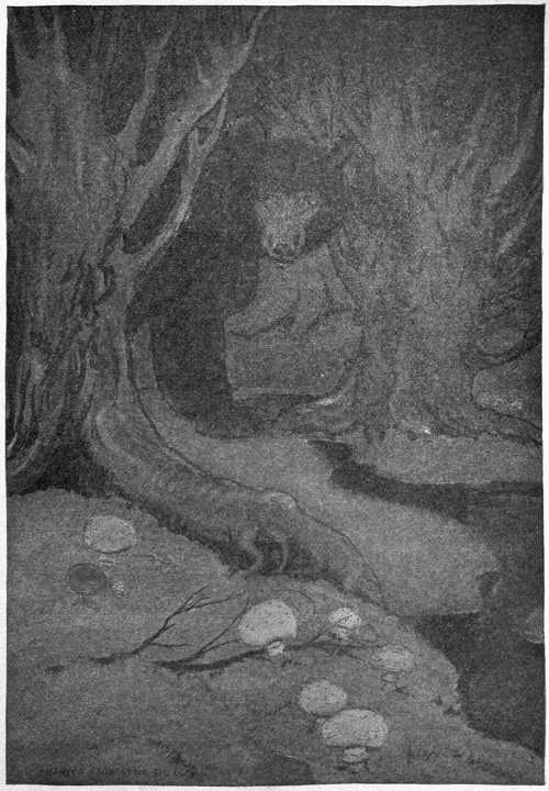 “FOR ALL HIS SEEMING AWKWARDNESS HE MOVED AS DELICATELY AS A CAT.”