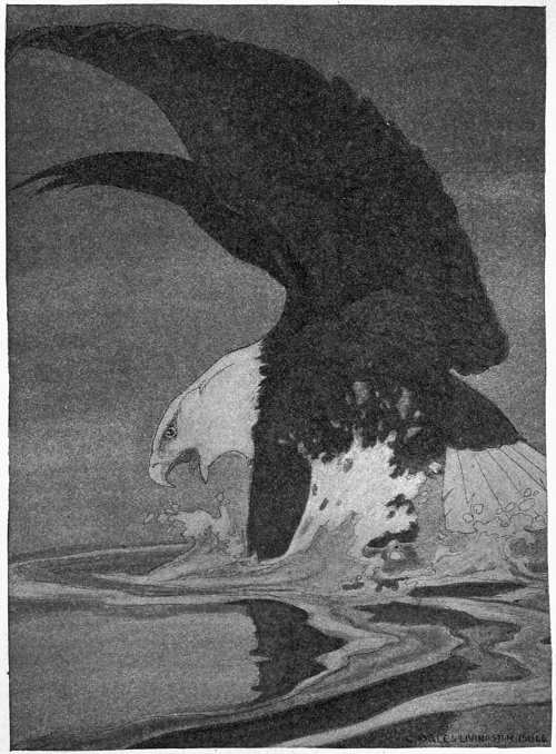 “THE WATER SPLASHED HIGH AND WHITE ABOUT HIM.”