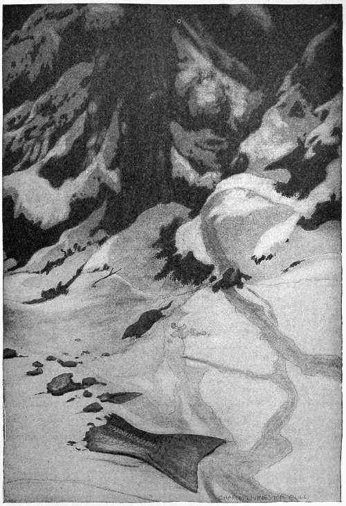 “THE SHREW-MOUSE . . . DARTED OUT INTO THE LIGHT.”