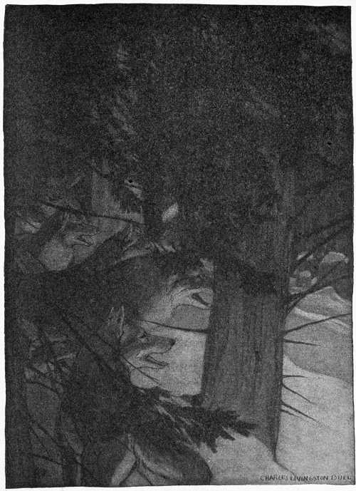 “HE SAW THE GRAY FORMS OF THE PACK.”