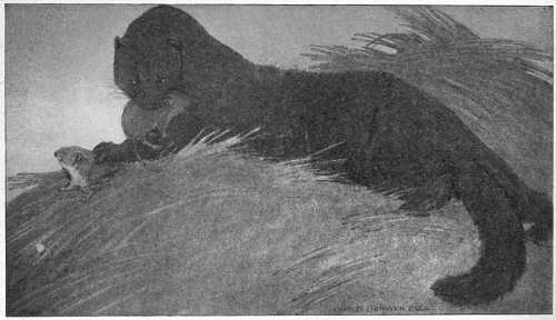 “MADLY JOYOUS, HE KILLED, AND KILLED, AND KILLED, FOR THE JOY OF KILLING.”