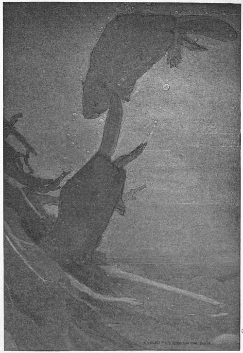 “WOULD WHISK SHARPLY INTO THE MOUTH OF THE BLACK TUNNEL.”