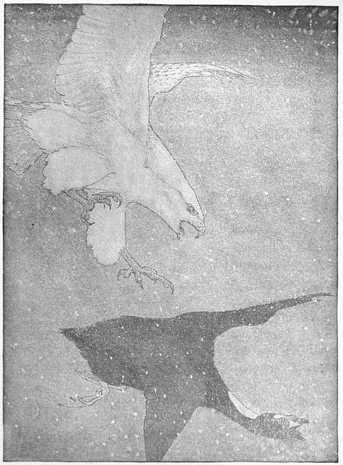 “THE NOISELESS WINGS WERE NOW JUST BEHIND HIM.”