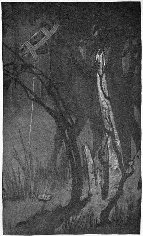 “HIS APPREHENSIVE EARS CAUGHT A CURIOUS SOUND.”