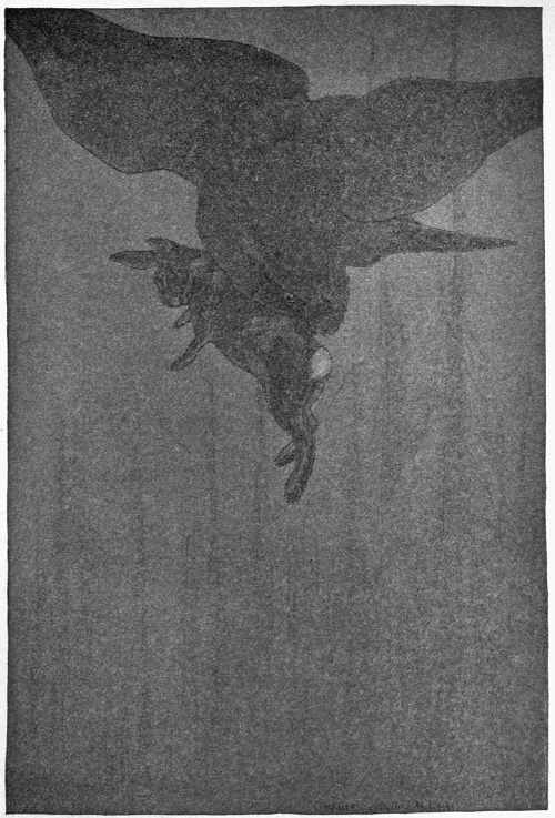 “THE BIG OWL HAD BEEN DISTURBED AT ITS BANQUET.”