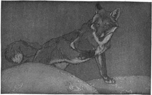 “WHICH SEEMED TO SCRUTINIZE HIM STEADILY.”