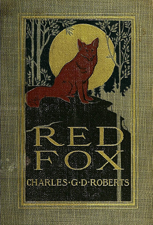 Red Fox