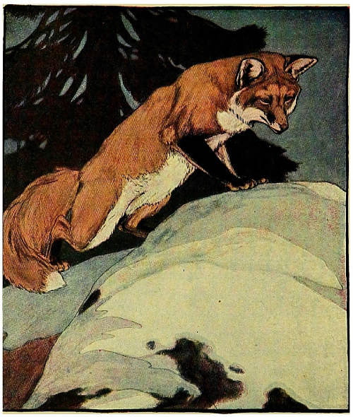 “Red Fox, meanwhile, had been watching the whole scene from that safe little ledge of rock.” (See page 168)