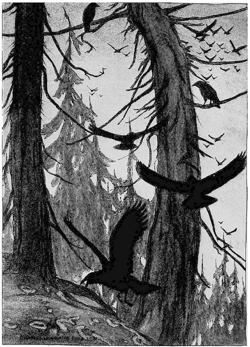 “THE CROW-HAUNTED FIR-GROVES ON ITS FLANKS.”