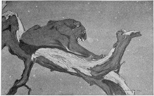 “HE DUG HIS CLAWS DEEPER INTO THE BARK, AND BARED HIS FANGS THIRSTILY.”