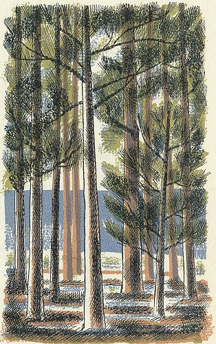 Forest of trees