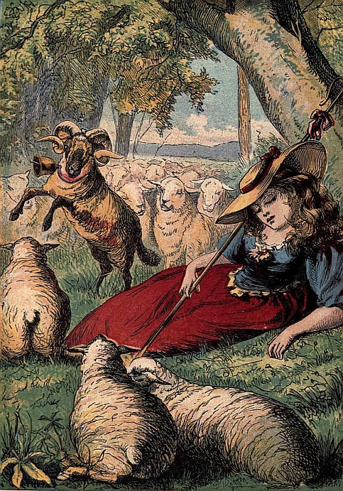 Bell-wether of Bo-Peep's flock