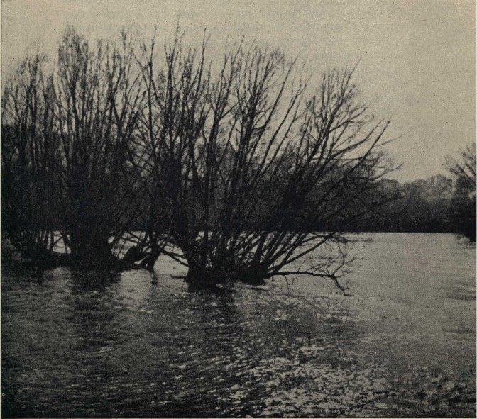 The floods