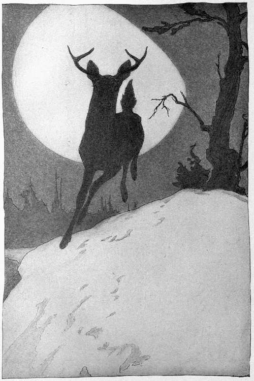“OVER THE CREST OF THE RIDGE, INKY BLACK FOR AN INSTANT AGAINST THE MOON, CAME A LEAPING DEER”